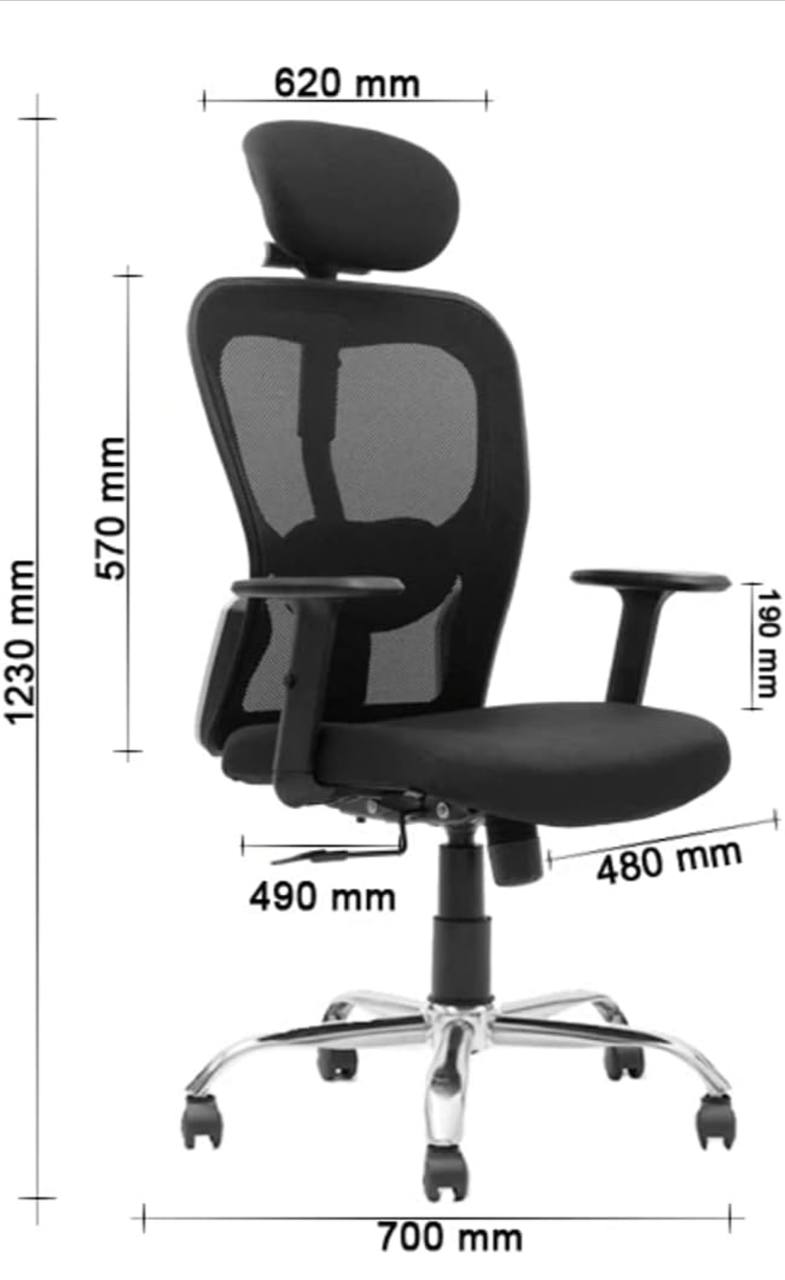 Matrix Executive High Back Ergonomic Chair